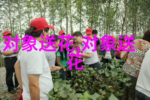 鸢尾