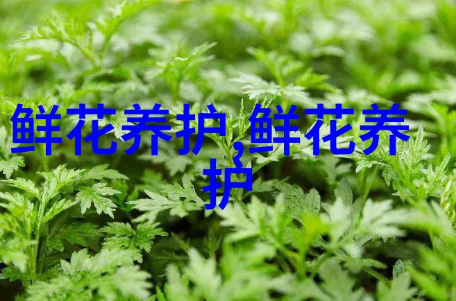茂密盆栽小棕榈