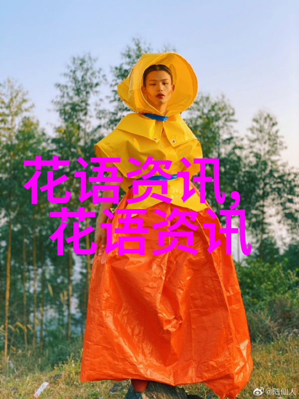蕨类