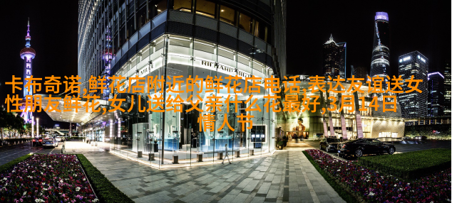 白菊
