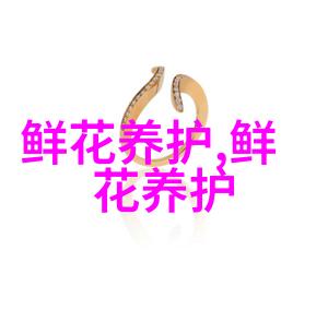 白色康乃馨
