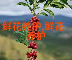 桂