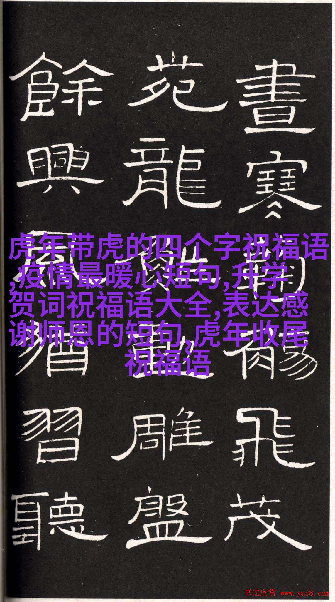冬日初雪中的森林故事