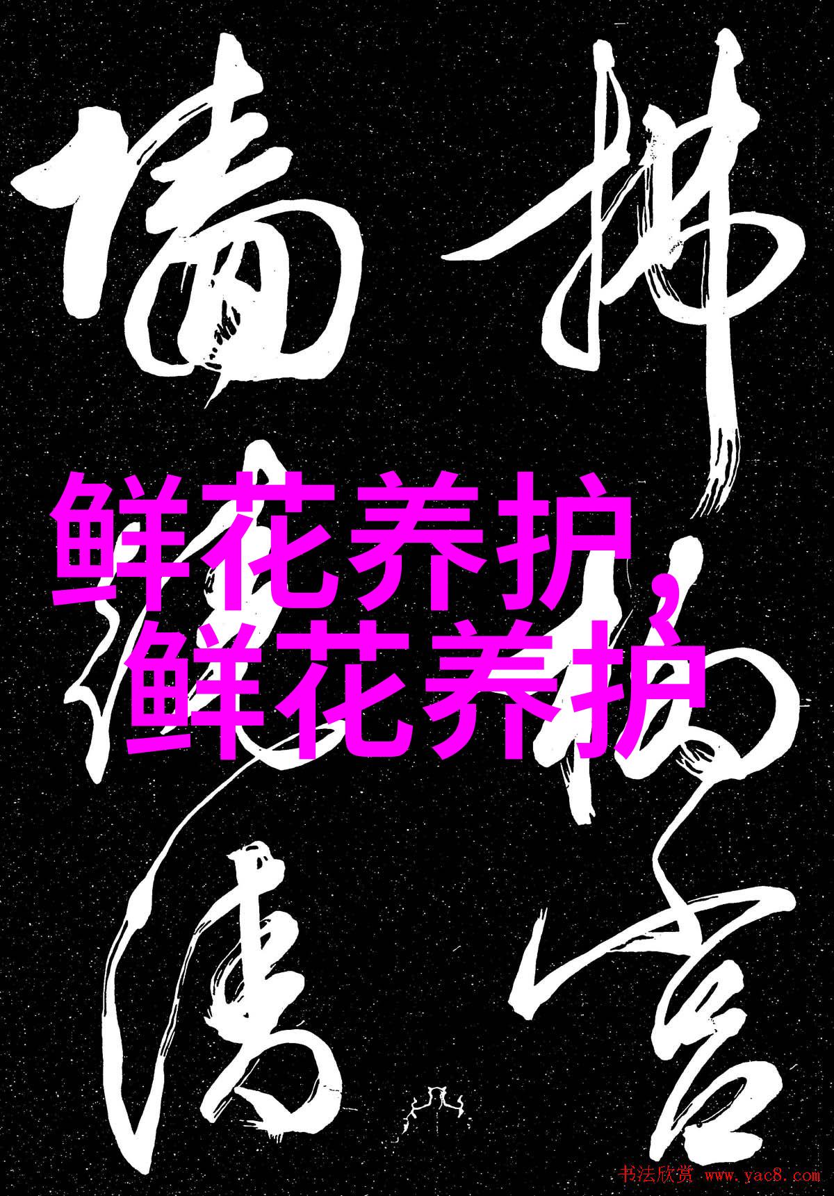 玫瑰