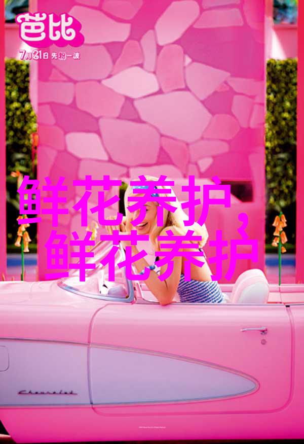 冰岛野菊