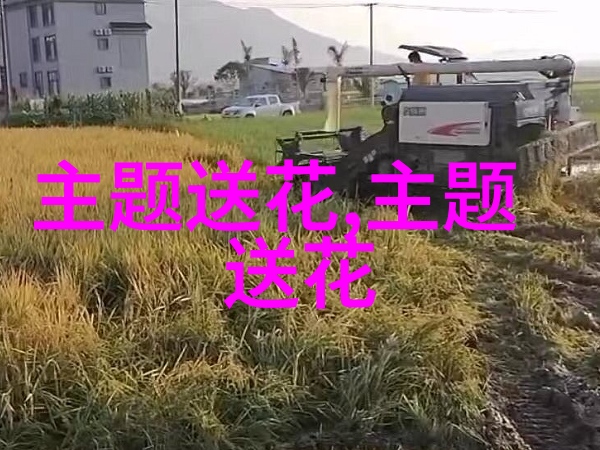 补钙剂套装