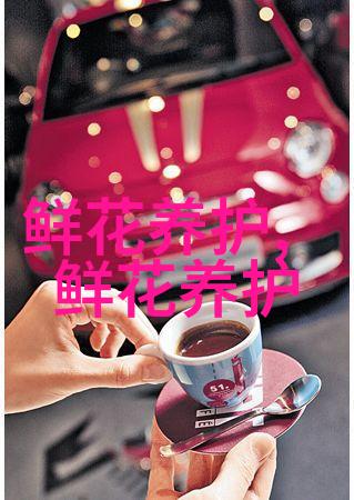 蕾丝柳