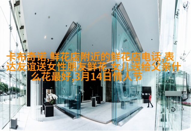 紫罗兰