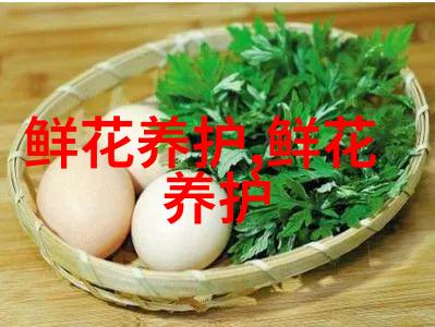 玫瑰