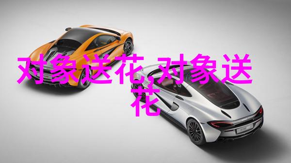 图3: 日本菊花