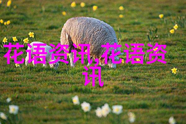 图片描述