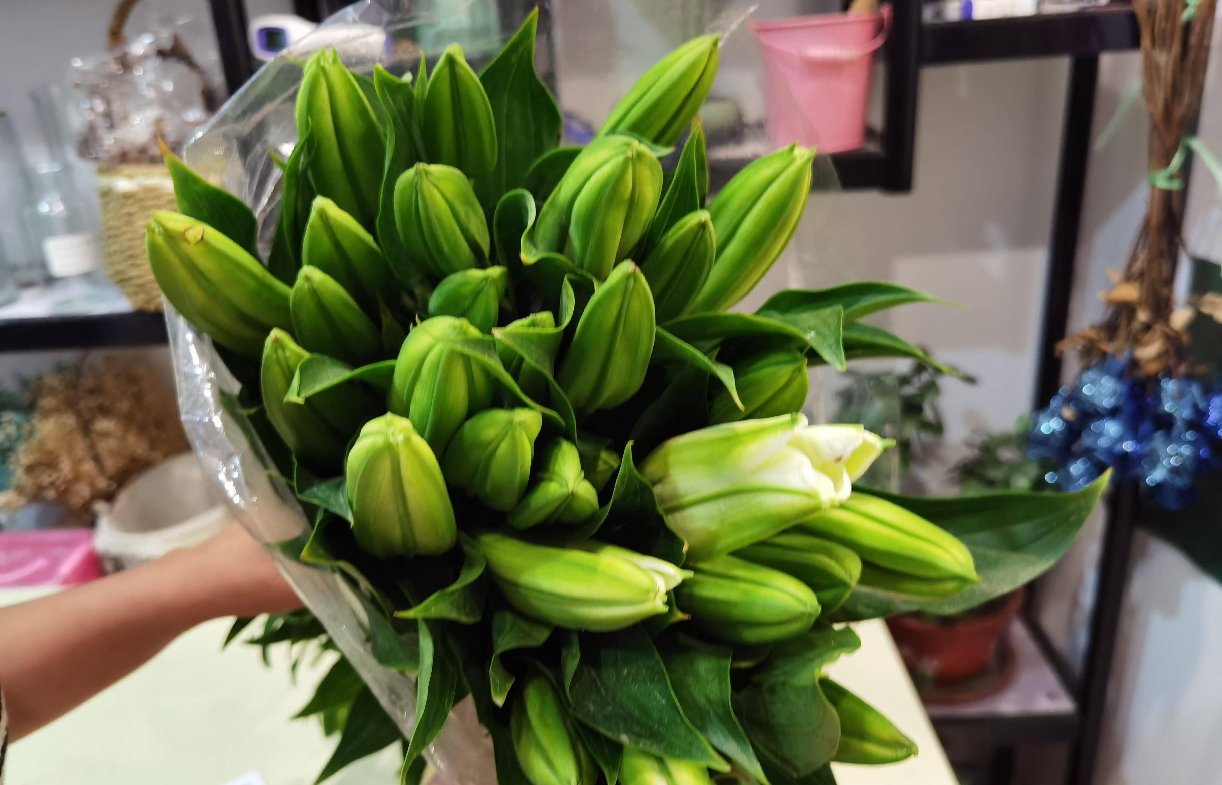 鲜花养护保鲜法_鲜花养护步骤示意图_鲜花养护/
