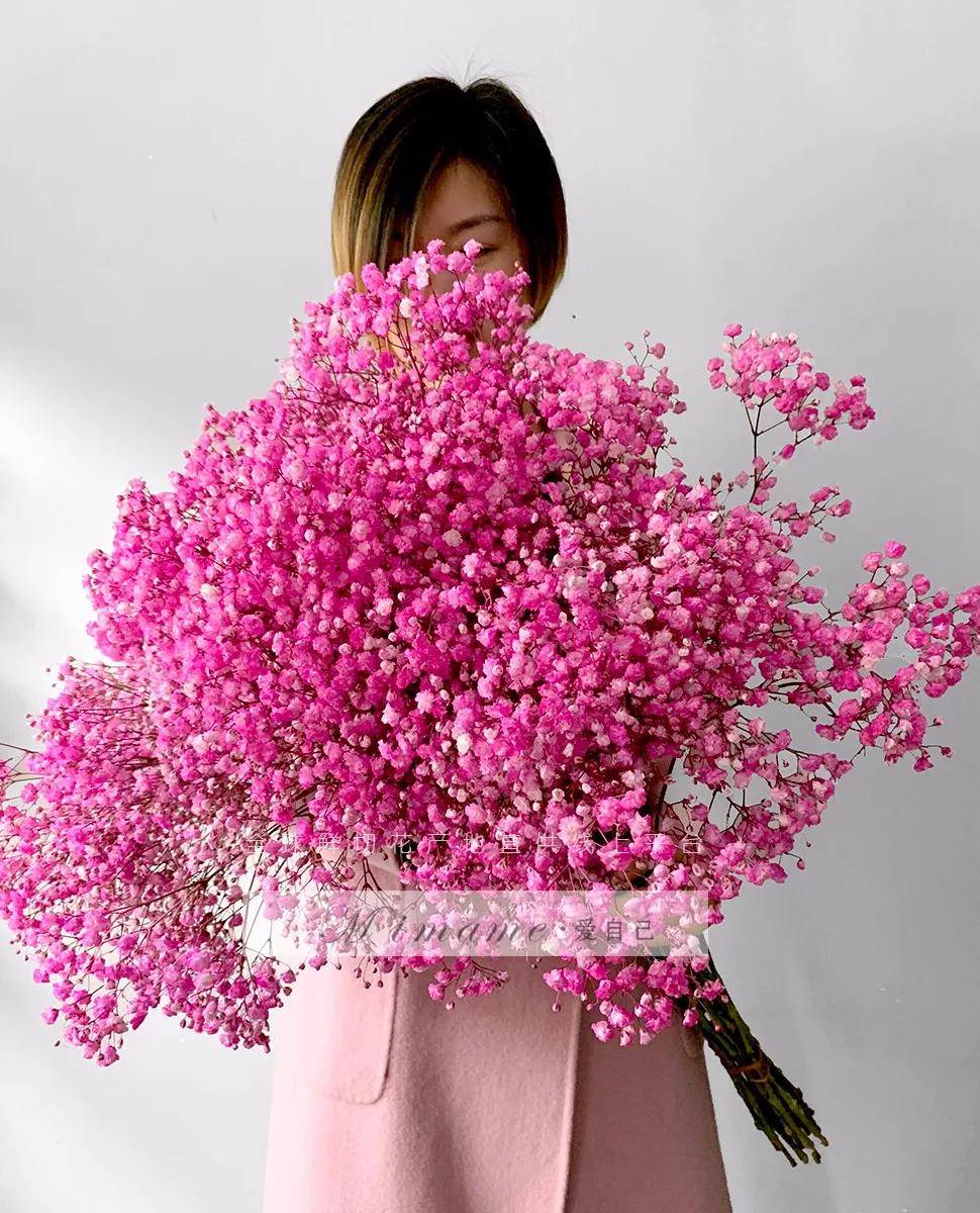 剑兰花鲜花养护_鲜花养护_鲜花养护小知识/