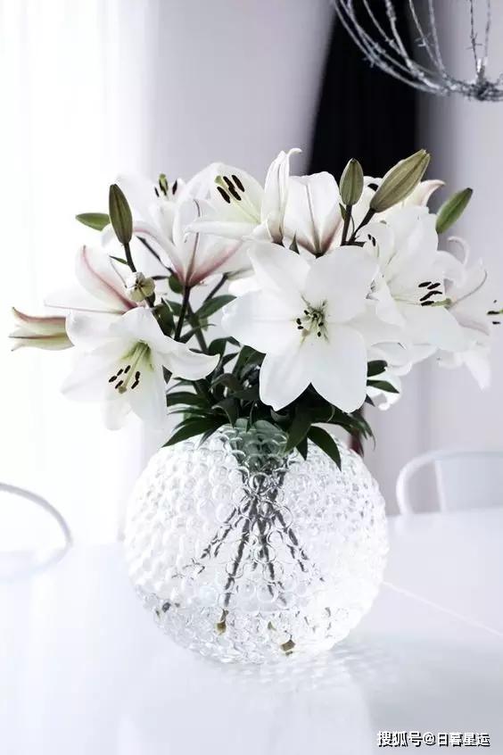 鲜花养护方法_鲜花养护_鲜花养护步骤示意图/
