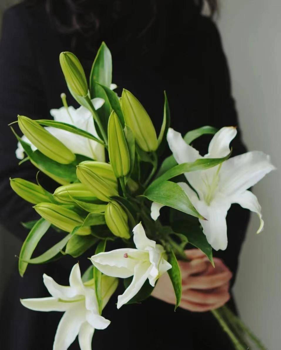 鲜花养护步骤示意图_鲜花养护_鲜花养护保鲜法/