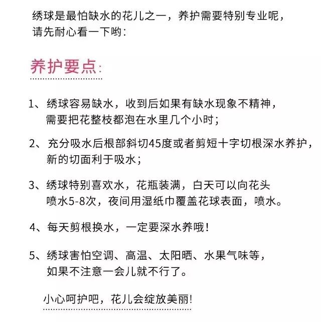 常见鲜花养护大全（一）/