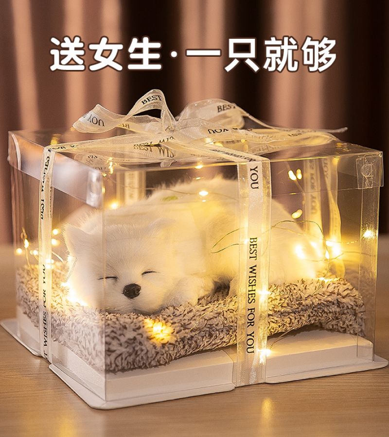 主题送花_送花的主题_送花主题名称