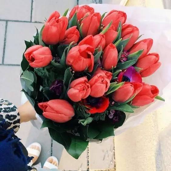 鲜花养护_鲜花养护保鲜法_鲜花养护步骤示意图/