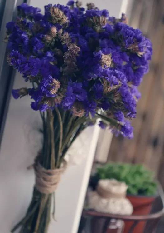 鲜花养护_鲜花养护保鲜法_鲜花养护步骤示意图/
