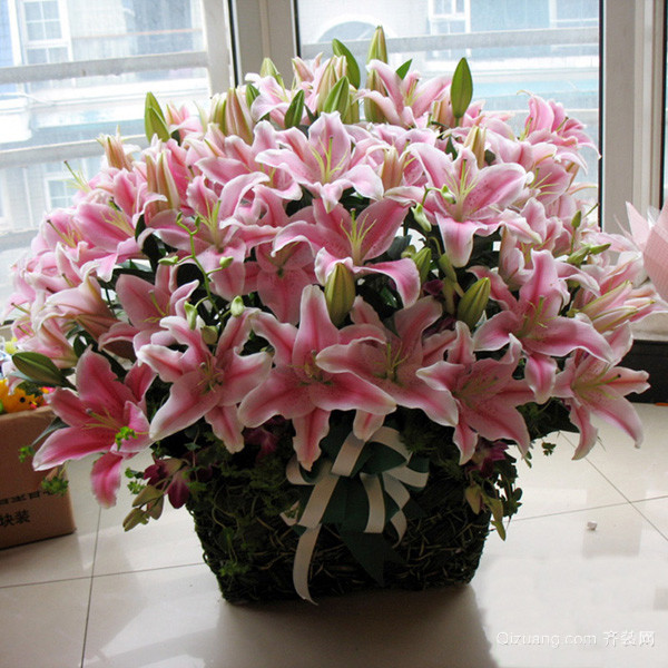 依米花的花语