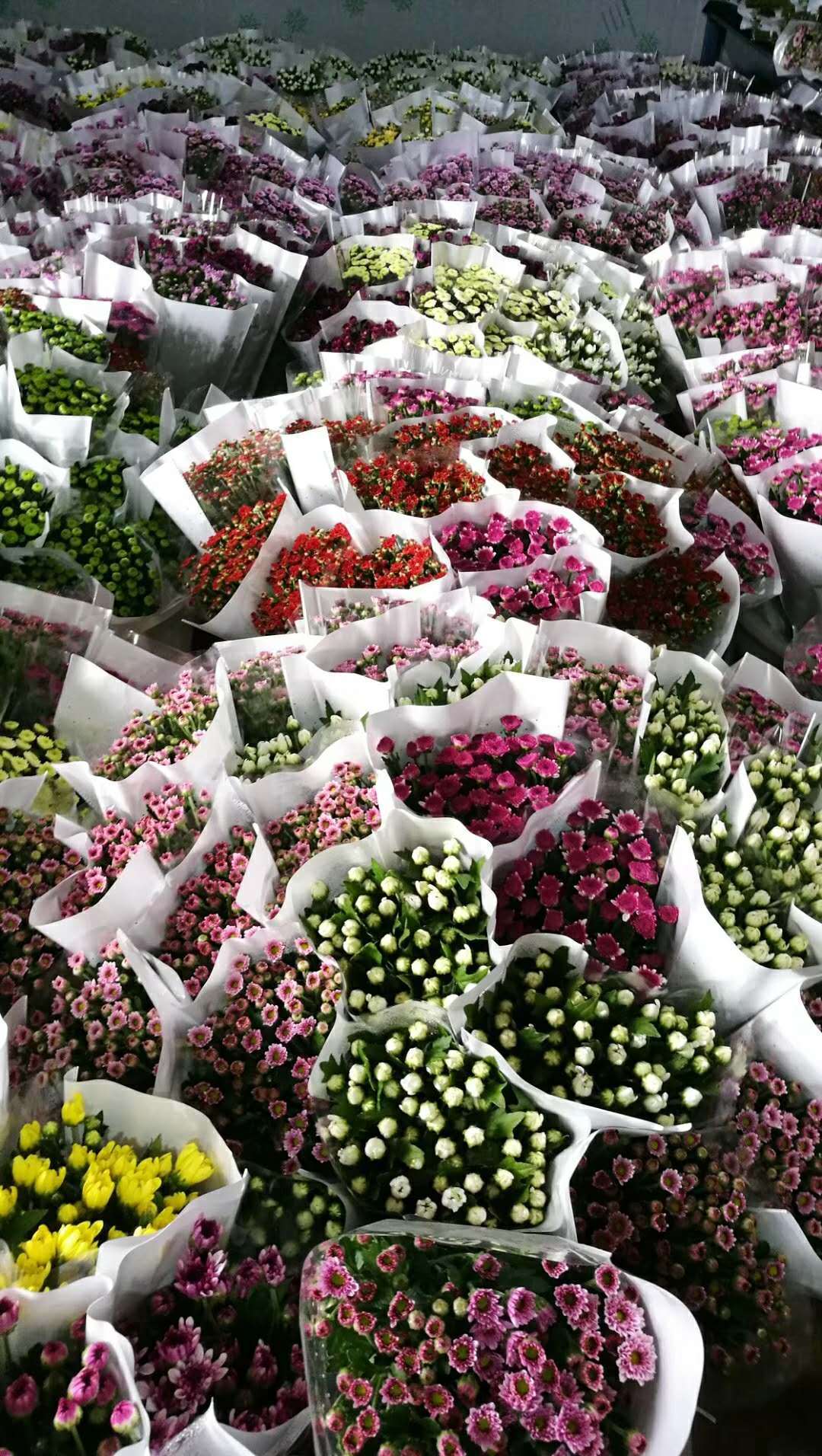 鲜花养护保鲜法_鲜花养护步骤示意图_鲜花养护