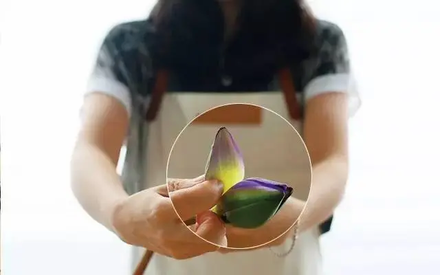 鲜花养护_鲜花养护步骤示意图_康乃馨鲜花养护