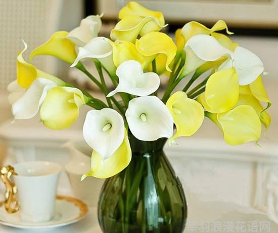 侯爵夫人送花对象_对象送花_送花对象写什么字好
