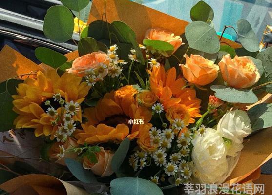送什么花给老师？——教师节献礼指南（关注老师个性，用鲜花传达感激之情）