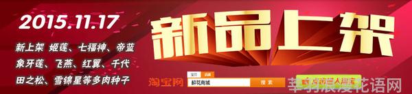 美人蕉花语故事_花语故事_六倍利花语故事